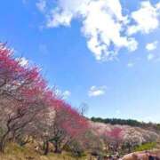 みほ 梅 ナイスレディ