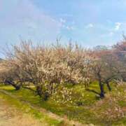 ヒメ日記 2026/03/03 12:30 投稿 みほ ナイスレディ