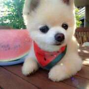 ヒメ日記 2026/03/24 12:15 投稿 みほ ナイスレディ