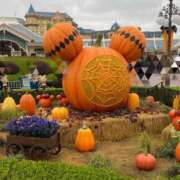 みほ ディズニー ナイスレディ