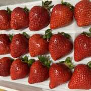 ヒメ日記 2025/02/17 04:56 投稿 天野いくみ ローテンブルク