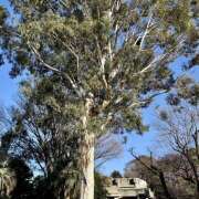 ヒメ日記 2025/02/25 05:35 投稿 天野いくみ ローテンブルク