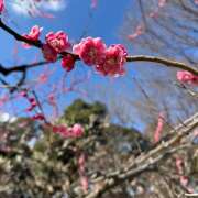 ヒメ日記 2025/03/10 09:39 投稿 天野いくみ ローテンブルク