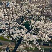 ヒメ日記 2025/04/07 06:18 投稿 天野いくみ ローテンブルク