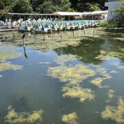 ヒメ日記 2025/06/30 10:10 投稿 天野いくみ ローテンブルク