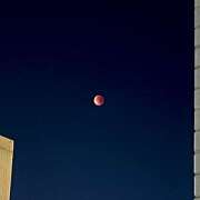 ヒメ日記 2025/09/08 07:40 投稿 天野いくみ ローテンブルク