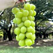 ヒメ日記 2025/09/10 10:02 投稿 天野いくみ ローテンブルク