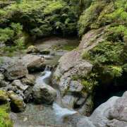 ヒメ日記 2025/09/17 10:13 投稿 天野いくみ ローテンブルク