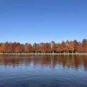 天野いくみ 紅葉 ローテンブルク