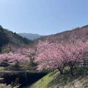 ヒメ日記 2026/03/03 10:11 投稿 天野いくみ ローテンブルク