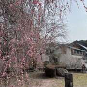 ヒメ日記 2026/03/05 10:17 投稿 天野いくみ ローテンブルク