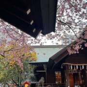 ヒメ日記 2026/03/09 01:51 投稿 天野いくみ ローテンブルク