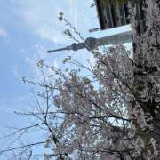 ヒメ日記 2026/03/30 10:15 投稿 天野いくみ ローテンブルク