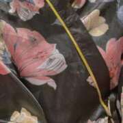 ヒメ日記 2024/12/25 16:06 投稿 岡すみれ HANABI(福富町)