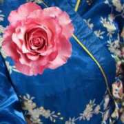 ヒメ日記 2025/08/24 11:08 投稿 岡すみれ HANABI(福富町)