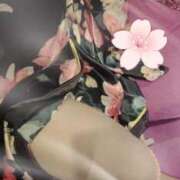 ヒメ日記 2026/01/28 10:50 投稿 岡すみれ HANABI(福富町)