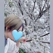 ヒメ日記 2025/03/29 16:01 投稿 ☆みか☆ VIP Lounge