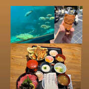 ヒメ日記 2025/05/07 11:29 投稿 ☆みか☆ VIP Lounge