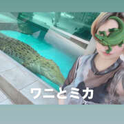 ヒメ日記 2025/05/14 14:33 投稿 ☆みか☆ VIP Lounge