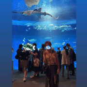 ヒメ日記 2025/07/21 17:47 投稿 ☆みか☆ VIP Lounge