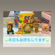 ヒメ日記 2025/09/22 18:53 投稿 ☆みか☆ VIP Lounge