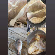 ヒメ日記 2025/09/30 11:39 投稿 ☆みか☆ VIP Lounge