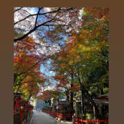 ヒメ日記 2025/11/29 20:00 投稿 ☆みか☆ VIP Lounge