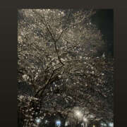 ヒメ日記 2026/03/30 16:50 投稿 ☆みか☆ VIP Lounge