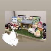 ヒメ日記 2026/10/06 17:43 投稿 ☆みか☆ VIP Lounge