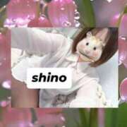 ヒメ日記 2025/04/09 16:53 投稿 しの One More 奥様　錦糸町店