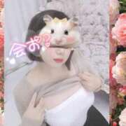 ヒメ日記 2025/05/01 19:33 投稿 しの One More 奥様　錦糸町店