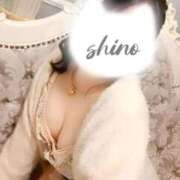 ヒメ日記 2026/03/16 21:03 投稿 しの One More 奥様　錦糸町店