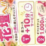 ヒメ日記 2026/07/15 00:03 投稿 るか 那須塩原人妻花壇