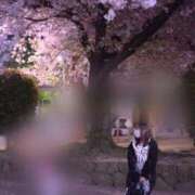 ヒメ日記 2026/03/20 12:09 投稿 さやか♡極上SPコース♡ PANTHER（パンサー）