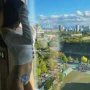 ヒメ日記 2025/11/26 14:25 投稿 らんか SEXIS-セクシーズ-