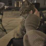 ヒメ日記 2025/05/21 00:20 投稿 ゆら【trip】 アロマエステ アイウィッシュ