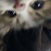 ヒメ日記 2025/05/29 01:26 投稿 ゆら【trip】 アロマエステ アイウィッシュ