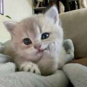 ヒメ日記 2025/05/29 18:00 投稿 ゆら【trip】 アロマエステ アイウィッシュ