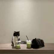 ヒメ日記 2025/06/02 10:44 投稿 ゆら【trip】 アロマエステ アイウィッシュ