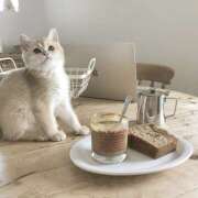 ヒメ日記 2025/06/11 19:56 投稿 ゆら【trip】 アロマエステ アイウィッシュ