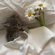 ヒメ日記 2025/06/14 07:14 投稿 ゆら【trip】 アロマエステ アイウィッシュ