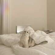 ヒメ日記 2025/06/14 20:32 投稿 ゆら【trip】 アロマエステ アイウィッシュ