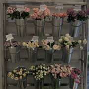 ヒメ日記 2025/06/17 03:14 投稿 ゆら【trip】 アロマエステ アイウィッシュ