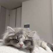 ヒメ日記 2025/06/19 15:22 投稿 ゆら【trip】 アロマエステ アイウィッシュ