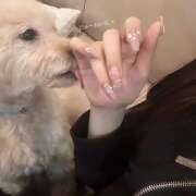 ヒメ日記 2025/07/15 05:08 投稿 ゆら【trip】 アロマエステ アイウィッシュ