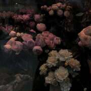 ヒメ日記 2025/08/05 16:12 投稿 ゆら【trip】 アロマエステ アイウィッシュ