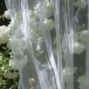 ヒメ日記 2025/08/20 00:18 投稿 ゆら【trip】 アロマエステ アイウィッシュ