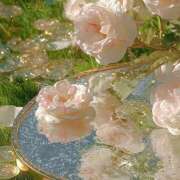 ヒメ日記 2025/08/27 09:34 投稿 ゆら【trip】 アロマエステ アイウィッシュ