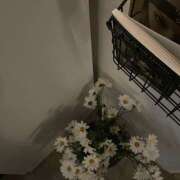 ヒメ日記 2026/01/21 01:40 投稿 ゆら【trip】 アロマエステ アイウィッシュ