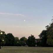 ヒメ日記 2026/03/11 23:12 投稿 ゆら【trip】 アロマエステ アイウィッシュ